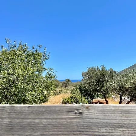 Grande Tente Dans L'oliveraie Kemping Monemvasía