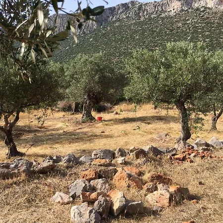 Grande Tente Dans L'oliveraie Kemping *
